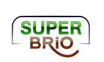 logo (24)