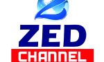 logo (33)